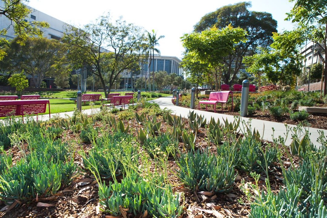 Grand park